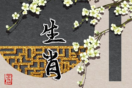 四柱命盘解析,天机紫微斗数排盘,紫微星占卜,命盘测算,算命女命紫微斗数