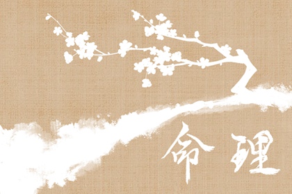 紫微夫妻合盘免费,算命紫微排盘,详细命盘解析,紫微合盘配对免费,八字紫微斗数排盘