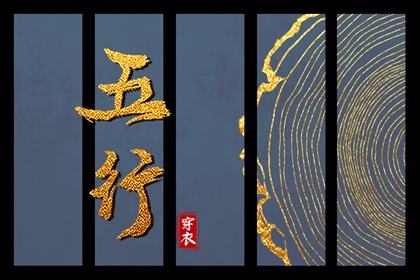 明星紫微斗数命盘_专业命盘解析_紫微查询_紫微运势_紫薇斗术排盘免费
